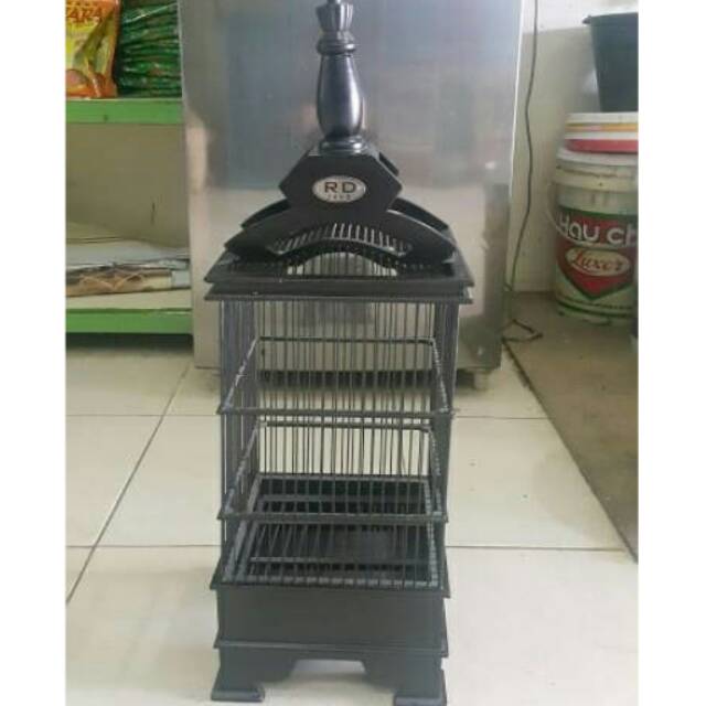 Kandang Petak Pleci Kolibri Prenjak Chitoh Blackthrout