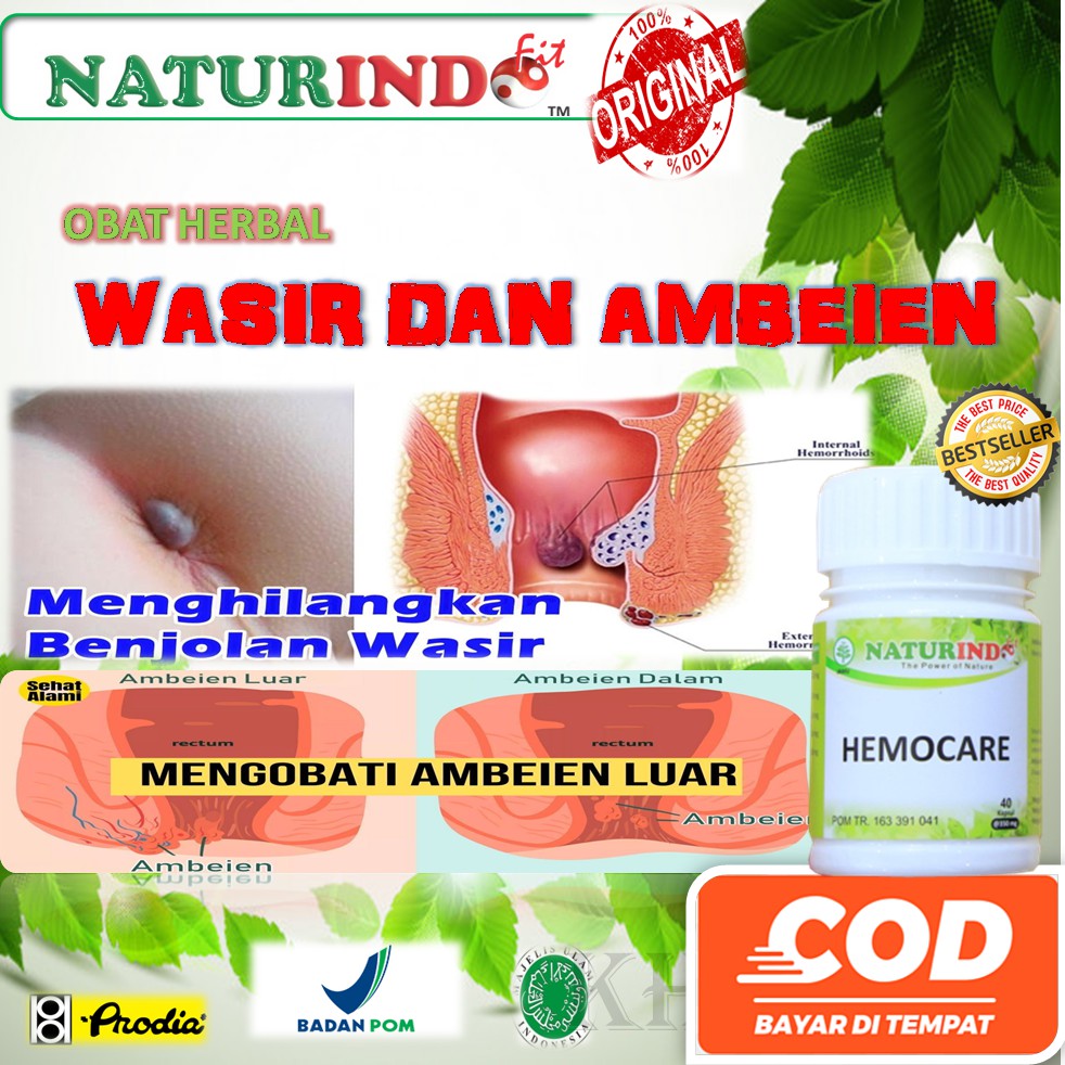 Obat Wasir Ampuh Obat Ambeien Obat Ambeyen Paling Ampuh Ambien ASLI