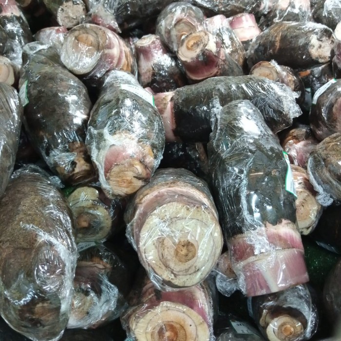 

Talas pontianak 900g-1kg