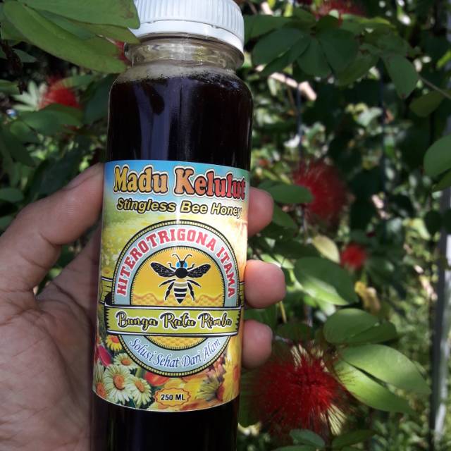 

MADU KELULUT TRIGONA 250 ML