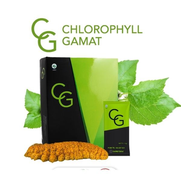 

Chlorophyll Gamat CG Original Isi 15 Sachet