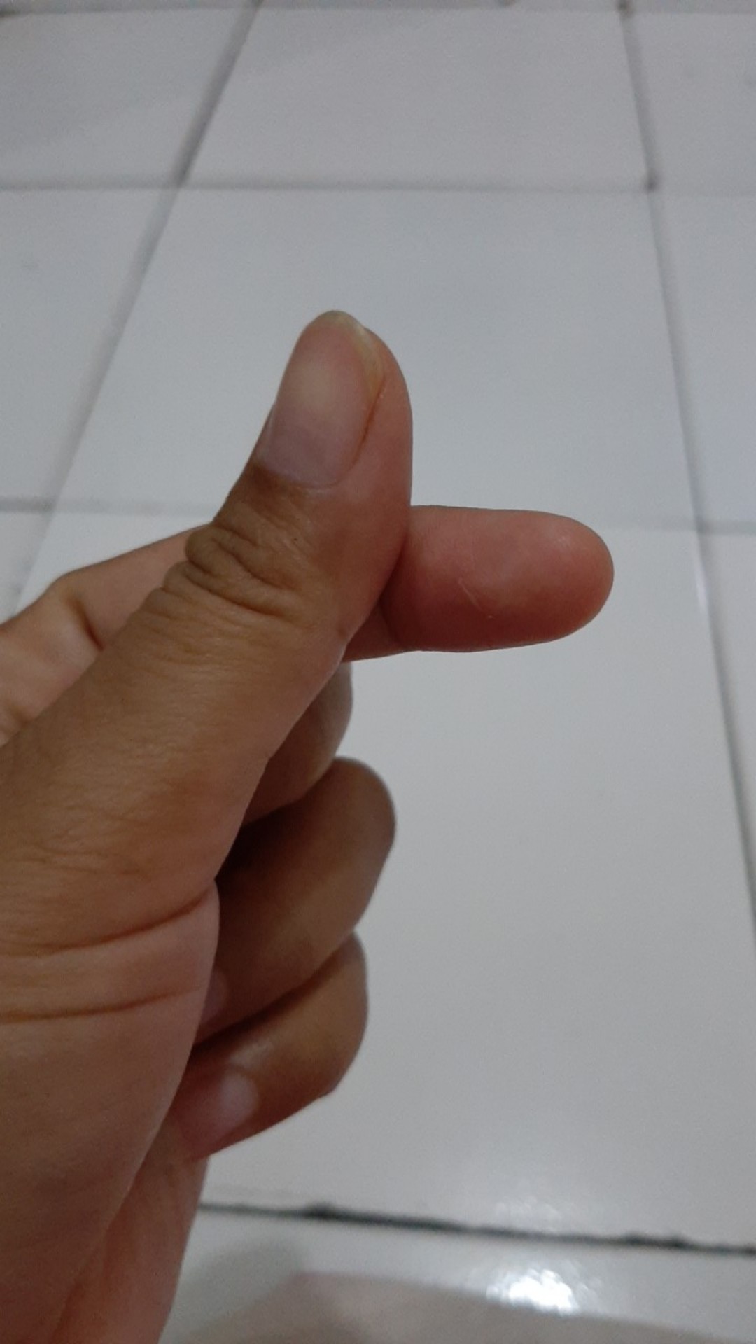 Jhdp44 Sarung Tangan Plastik Transparan Sekali Pakai 1 Pack Isi 100 Disposable Gloves Plastic