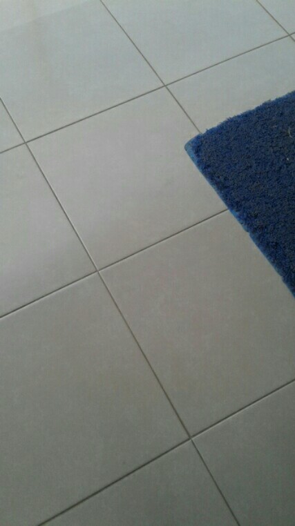 Tabasa Payung Lipat Big Bear Tl 111 Fancy Umbrella