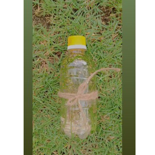 

HIASAN BUNGA AESTHATIC