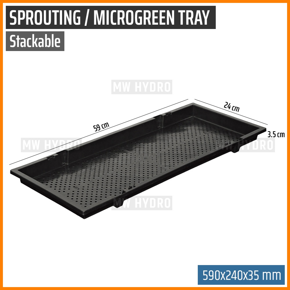 Stackable Tray For Sprouting, Seedling, Microgreen - 590 x 240 x 35 mm