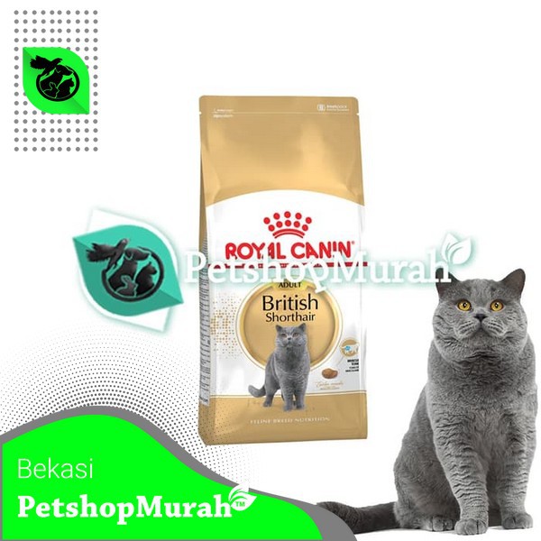 Makanan Kucing Royal Canin British Shorthair Adult 4 Kg CatFood 4KG