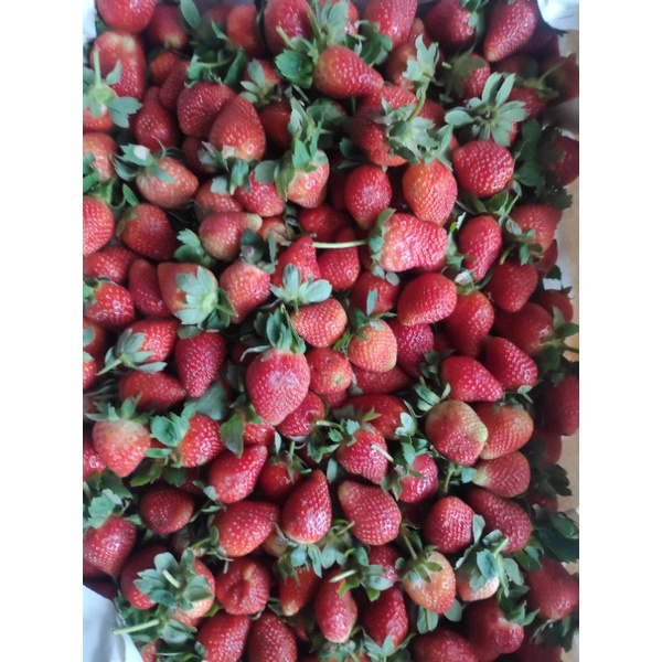 

strawberry fresh 450 gram