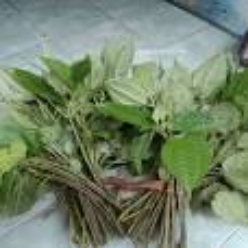 

Sayuran Daun Poh Pohan