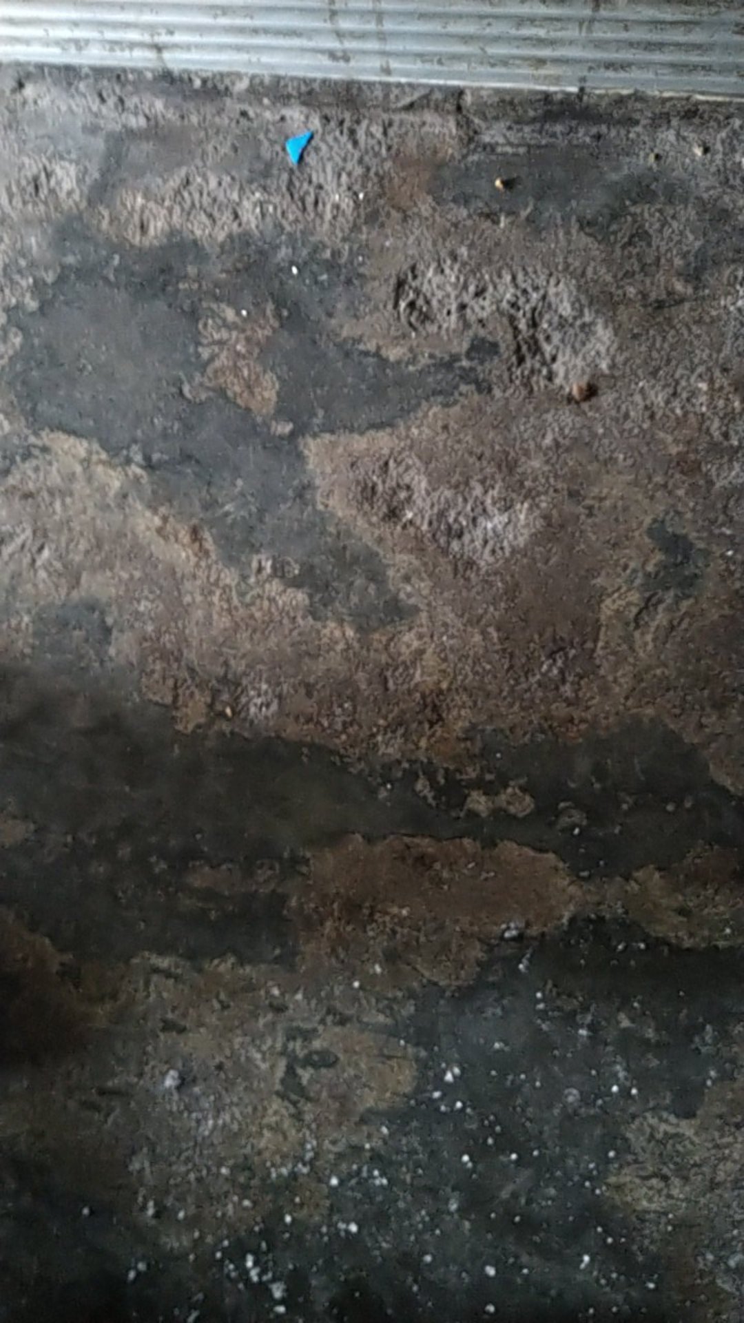 100pcs Baut Baja Ringan 19/baut Roofing 19/roofing Screw 10x19/baut Skrup Baja Ringan