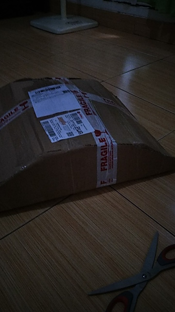 Kuali / Wajan Harden Stainless Steel 40cm Golden Flying Fish