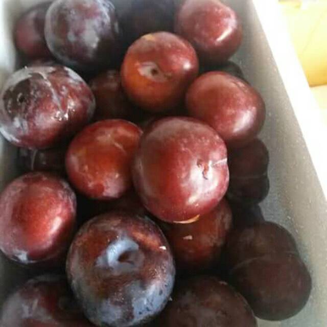 

BUAH PLUM BUAH DIET