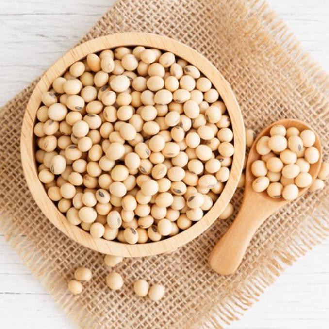 

Buruan Beli] Soybeans Organic 500Gr