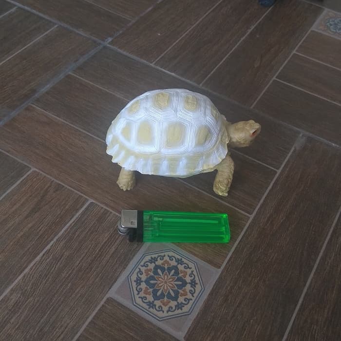 Mars_venus -  Patung/Resin/Pajangan/Hiasan/Mainan/Souvenir Kura Darat Sulcata Albino