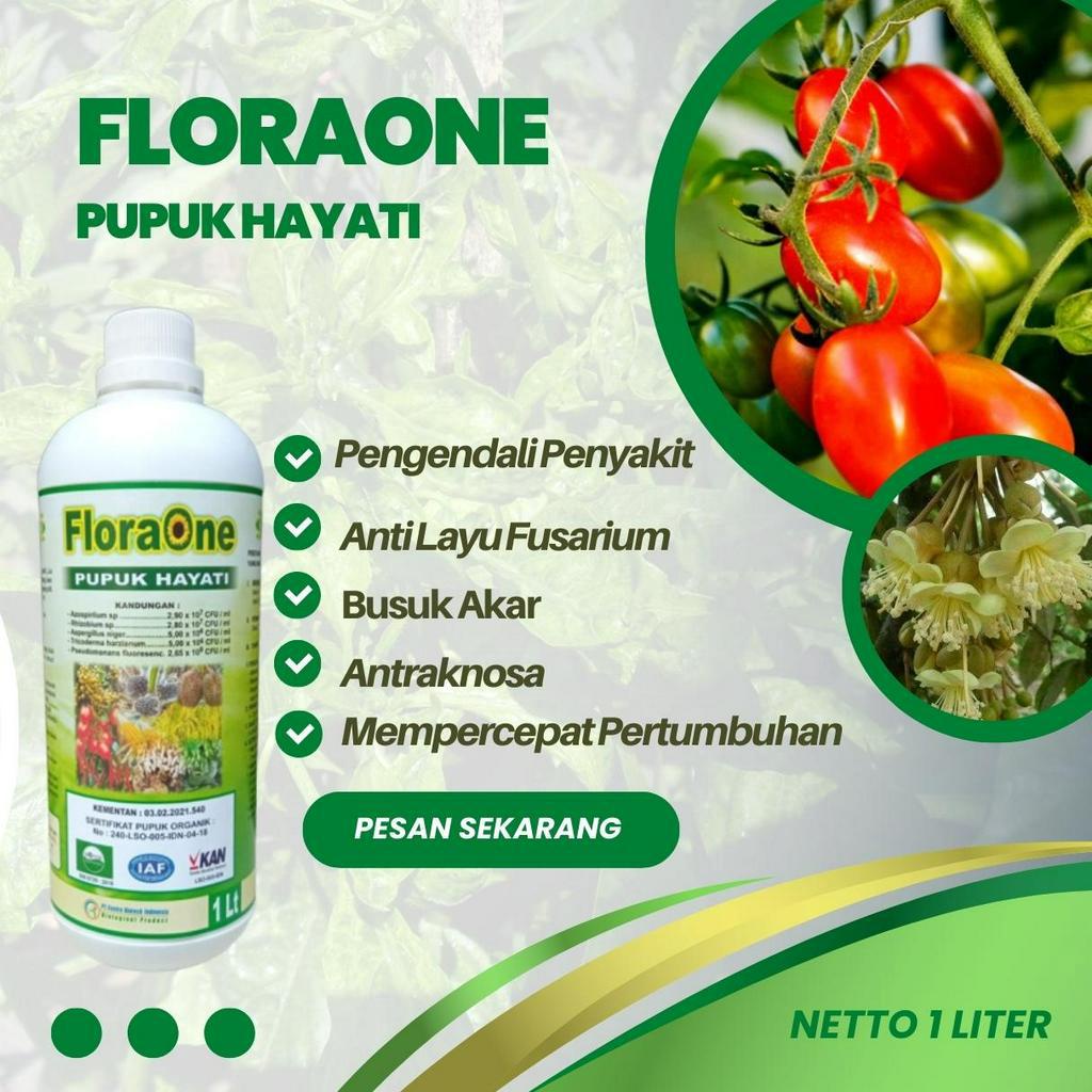 Pupuk Hayati PGPR 1 Liter, Pupuk Tricoderma Cegah Layu Fusarium, Trichoderma Harzianum