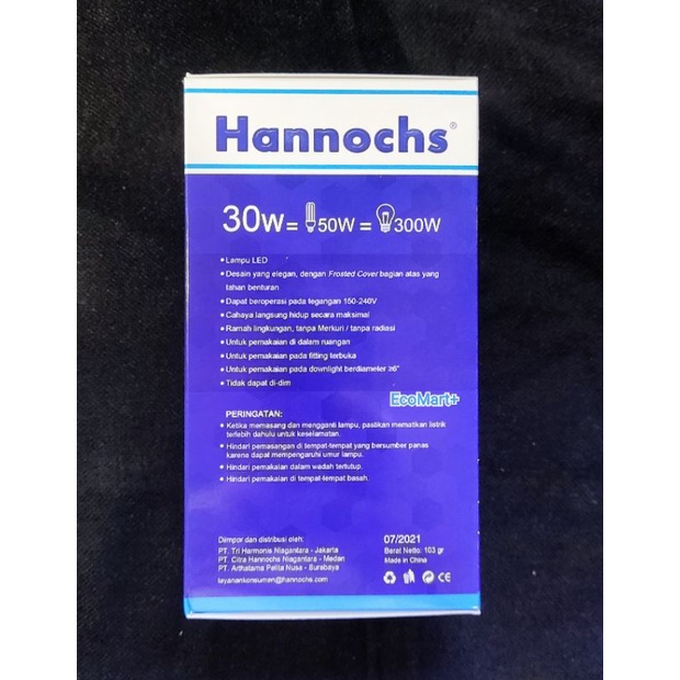 Lampu Led Hannochs Vario 30w