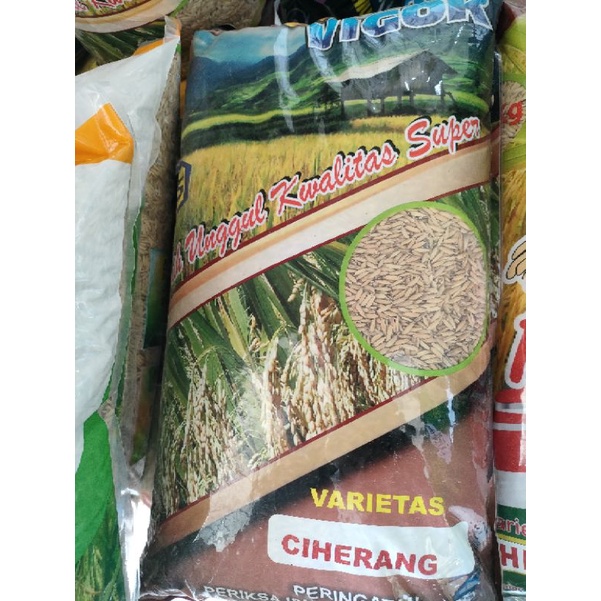 BENIH PADI CIHERANG PREMIUM 5 KG