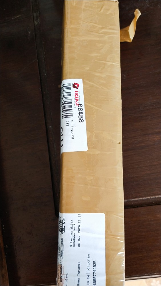 Ready Bonggol Aglonema Red Khocin