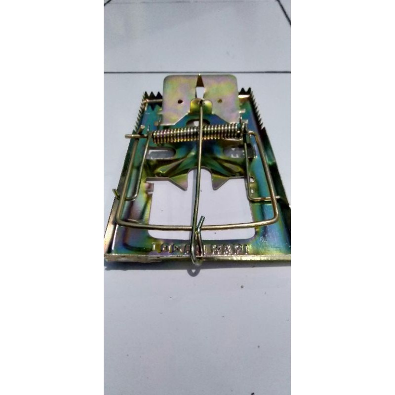 

Senteg Jepret