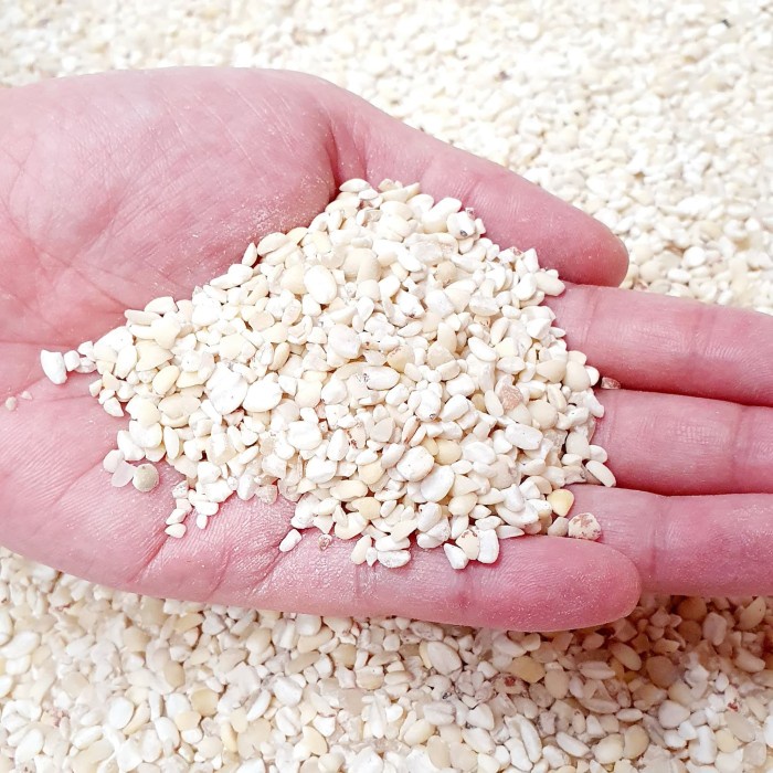 

Q12Sa Jali Jali Aceh | Barley - 250 Gr D51qs448