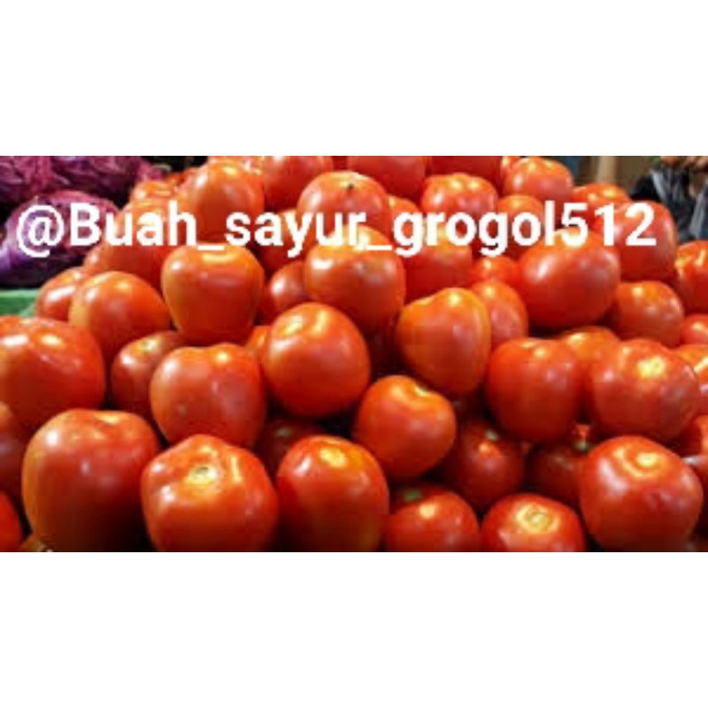 

Tomat buah/ Tomat sayur _ 500gr