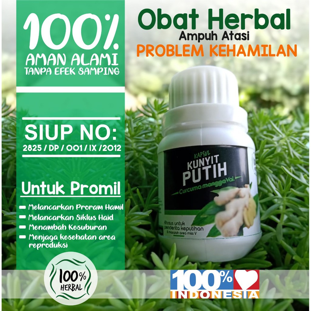 Paket Terapi Kunyit Putih Untuk Problem Kehamilan Isi 3 Botol Herbal Promil Herbal Kunyit Putih Indonesia