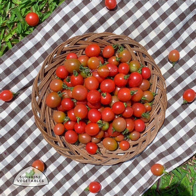 

TOMAT CHERRY / TOMAT CERI / CHERRY TOMATO by Sunshine Vegetables