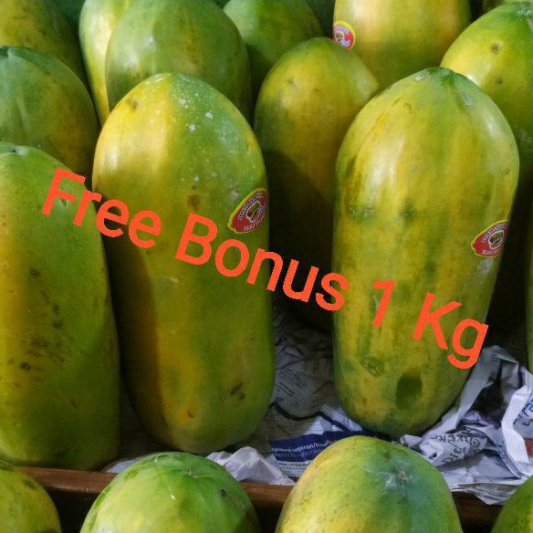 

Pepaya California + Gratis Bonus