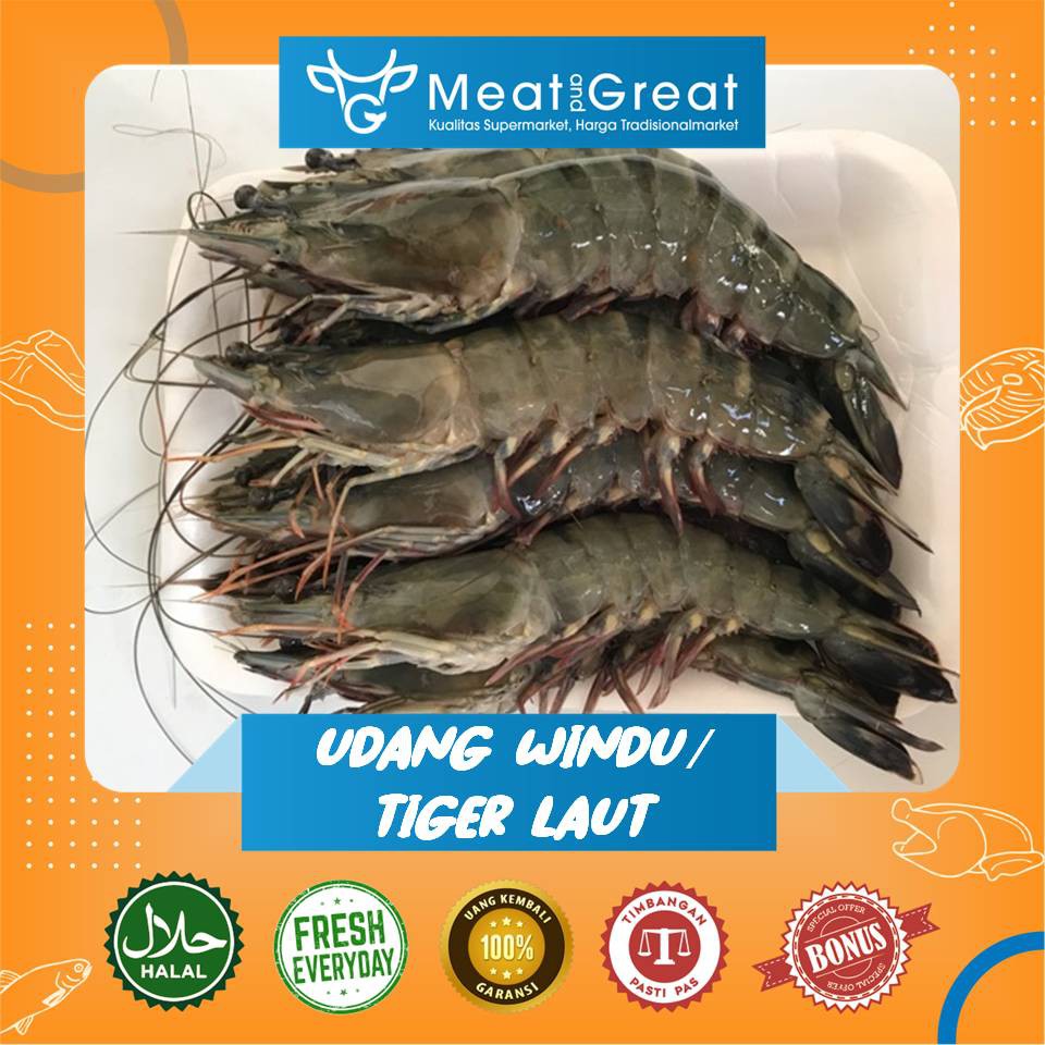 

Udang Windu Segar 1 kg & 500gr