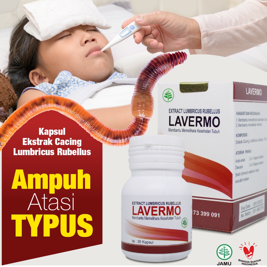 

LAVERMO Obat Tipes Typus Cacing Ampuh | Obat Cacing Obat Tipes LAVERMO Extract Lumbricus Rubellus
