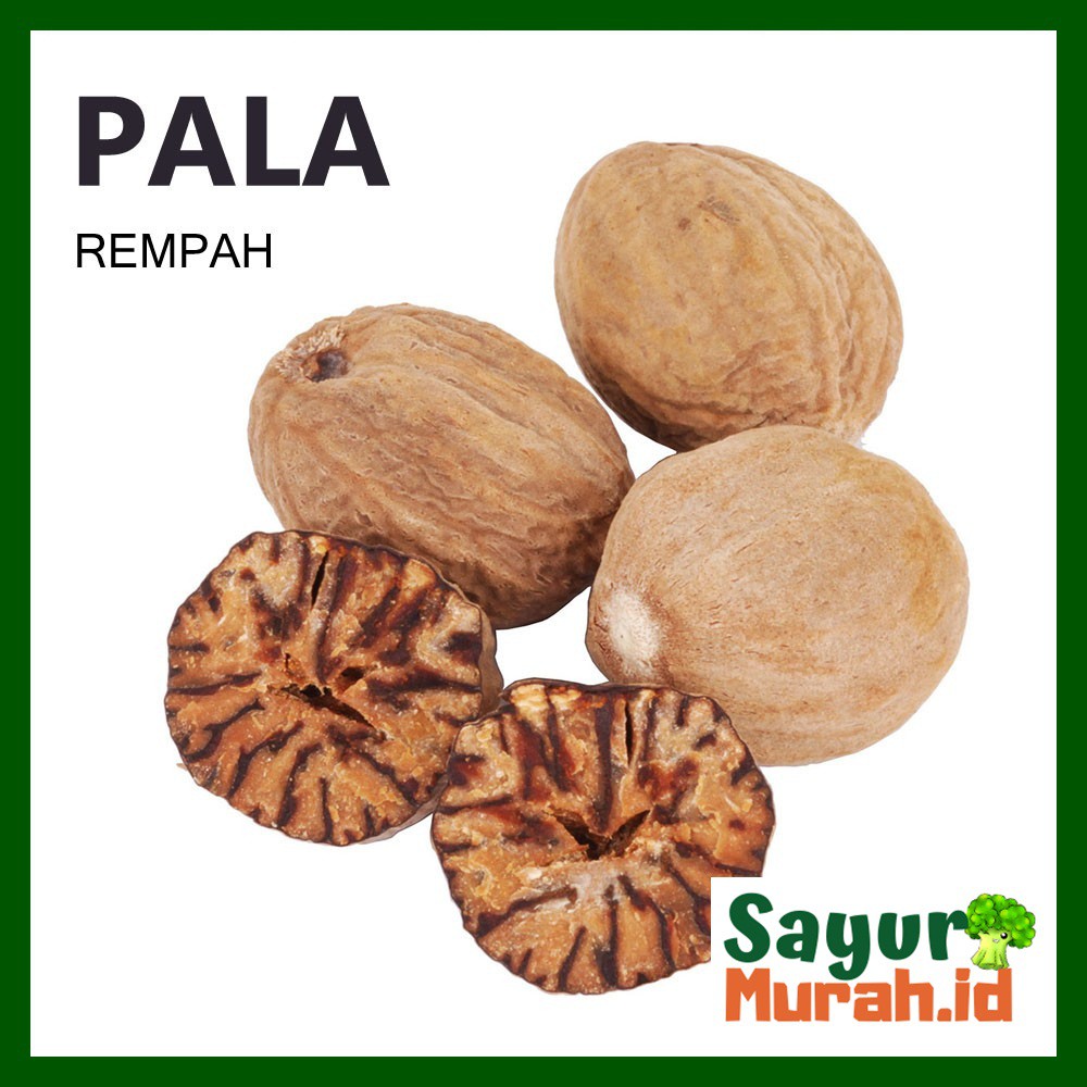 

PALA [1 Pcs]
