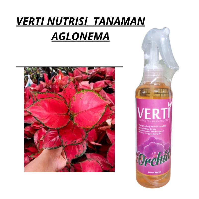 Pupuk Anggrek Nutrisi Alami Tanaman Bunga VERTI ORCHID, Pupuk Cair Tanaman Hias Siap Pakai
