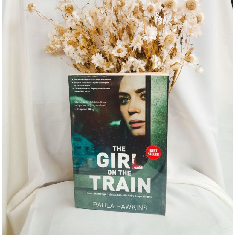 Novel The Girl On The Train