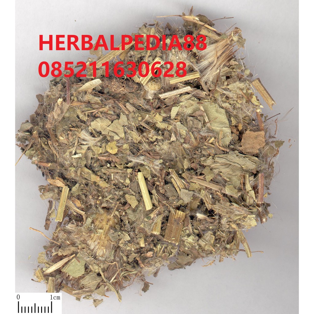

Xiao ji 小蓟 Cirsium setosum 100 gram