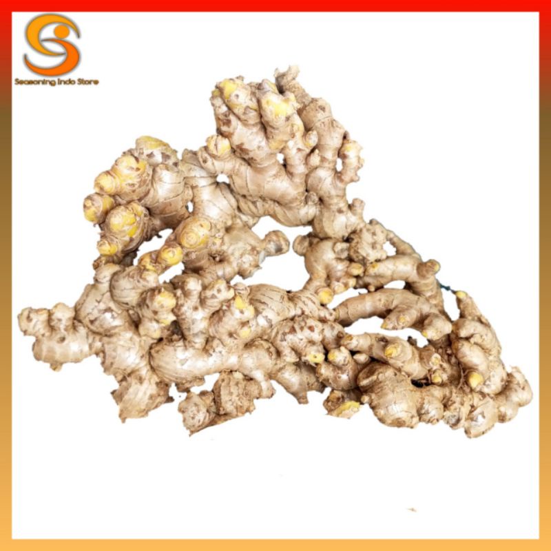 

Jahe emprit paris 5 kg rempah rempah alami sudah bersih