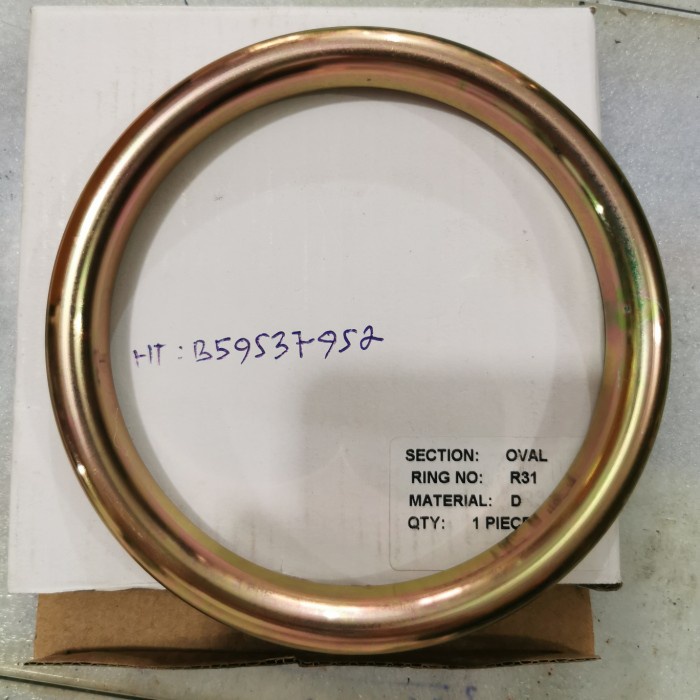 Ring Gasket R31 Soft Iron RTJ Oval Klinger