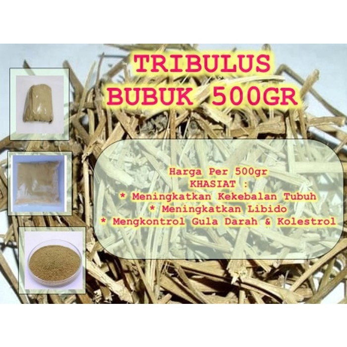 

Tribulus Bubuk 250 gram (1/4) Asli Murni Kwalitas Terjamin