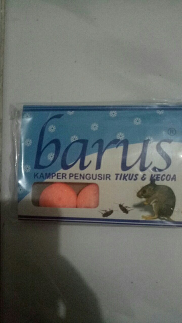 Naim_surya_asemka_kamper Tikus Dan Kecoa