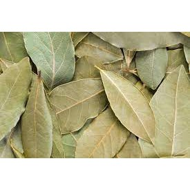 

BAYLEAVES DRIED TURKY 500 Gr / DAUN SALAM KERING TURKY