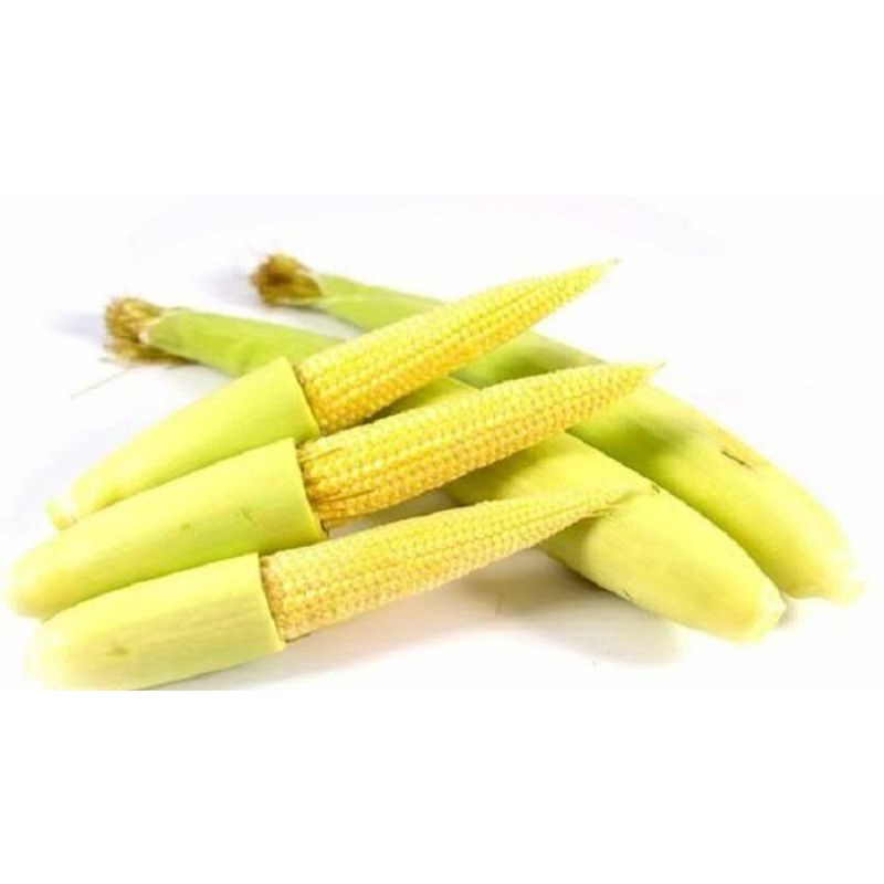 

Jagung acar/baby corn/putren segar/jagung sayur