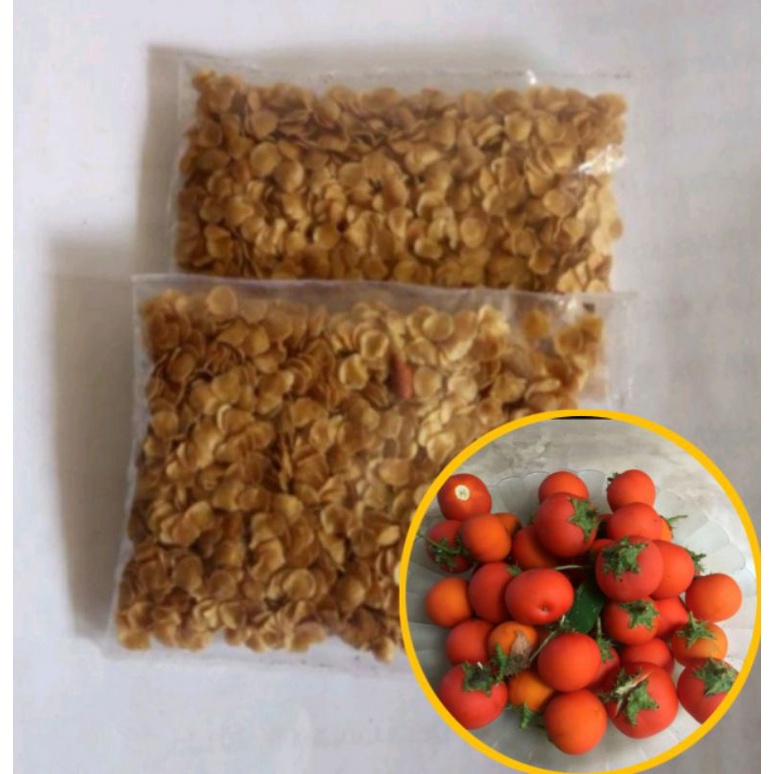 

biji terong pari 1 KANTONG untuk sakit gigi benih biji terong pari terong hutan terong duri obat herbal rempah rempah / terong aor biji terong aor