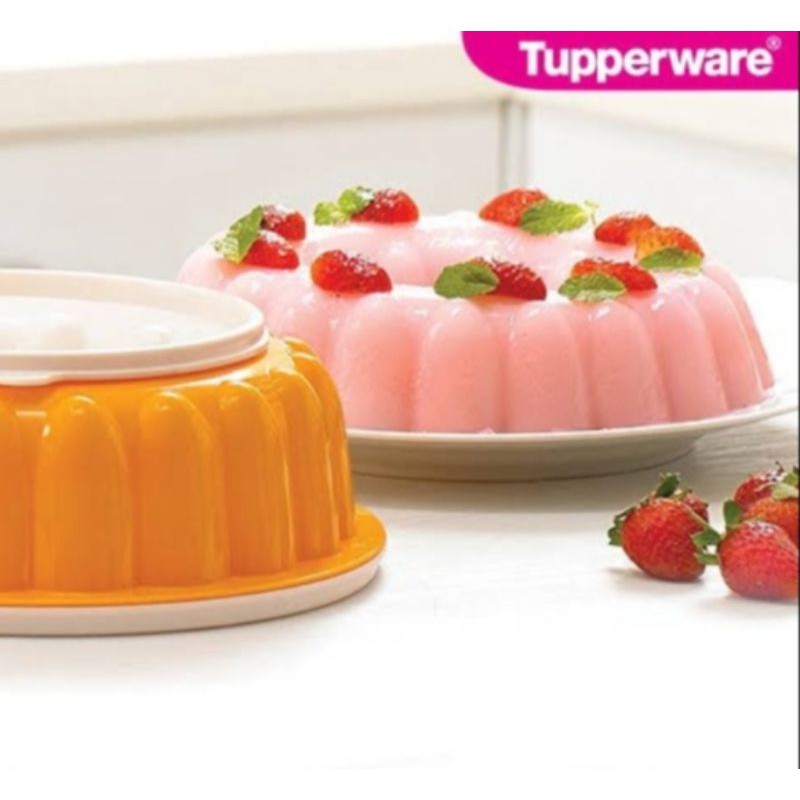CUCI GUDANG cetakan ager tupperware