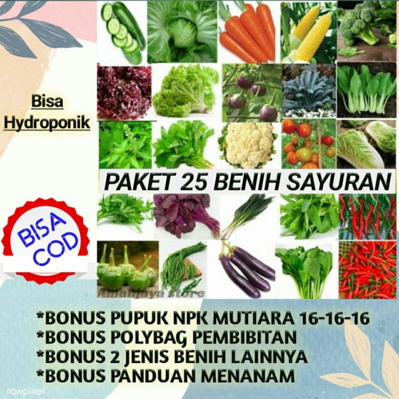 Paket 25 jenis bibit benih sayuran lengkap murah hidroponik aquaponik