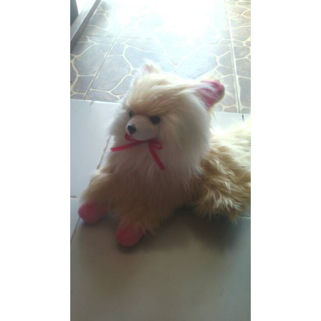 Boneka kucing jabrig XL