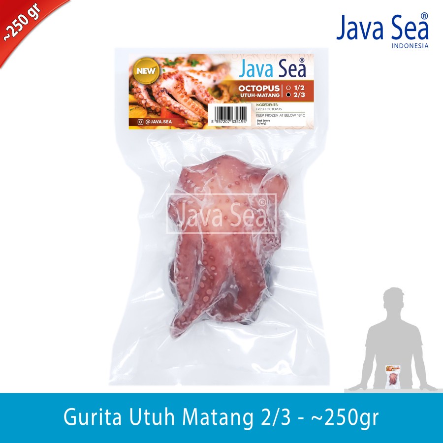 

JAVA SEA Gurita Utuh sudah matang 2/3 pack 250gr