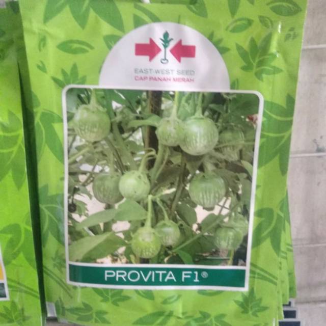 Benih Terong Lalab Hijau PROVITA 400 biji