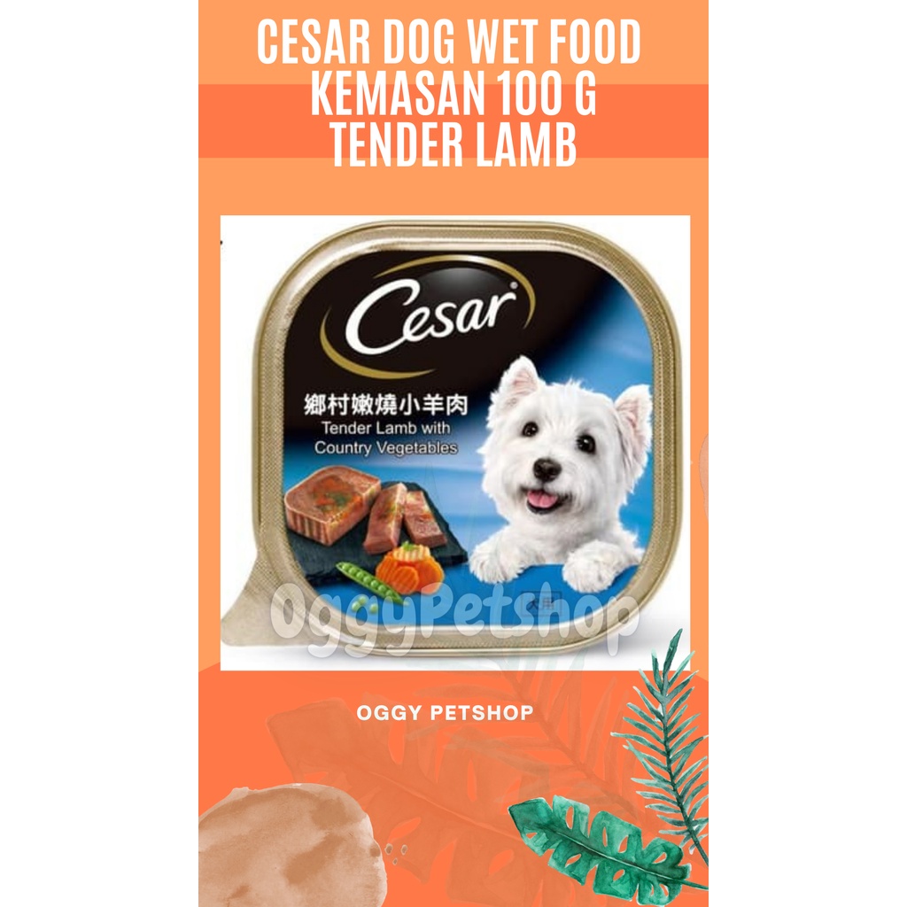 Cesar Wet Dog Food Kemasan Kaleng 100gr - Makanan Anjing Basah