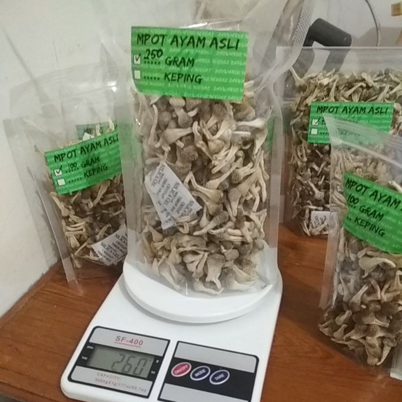 

250 Gram Mpot Putih Zahwa Mpot Ayam Putih Albino Super Asli