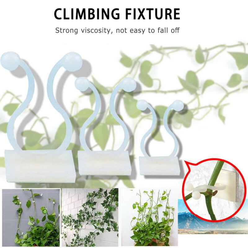 10Pcs Invisible Wall Vines Fixture Clips/Plant Climbing Wall Sticky Plastic Cable Storage Hook/Self-adhesive Garden Balcony Decoration Fixer Holder