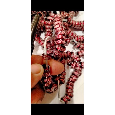 Ring Burung Merpati Balap Ring PPMBSI 2025 dan ring Jatim 2025 Ori | Cincin burung