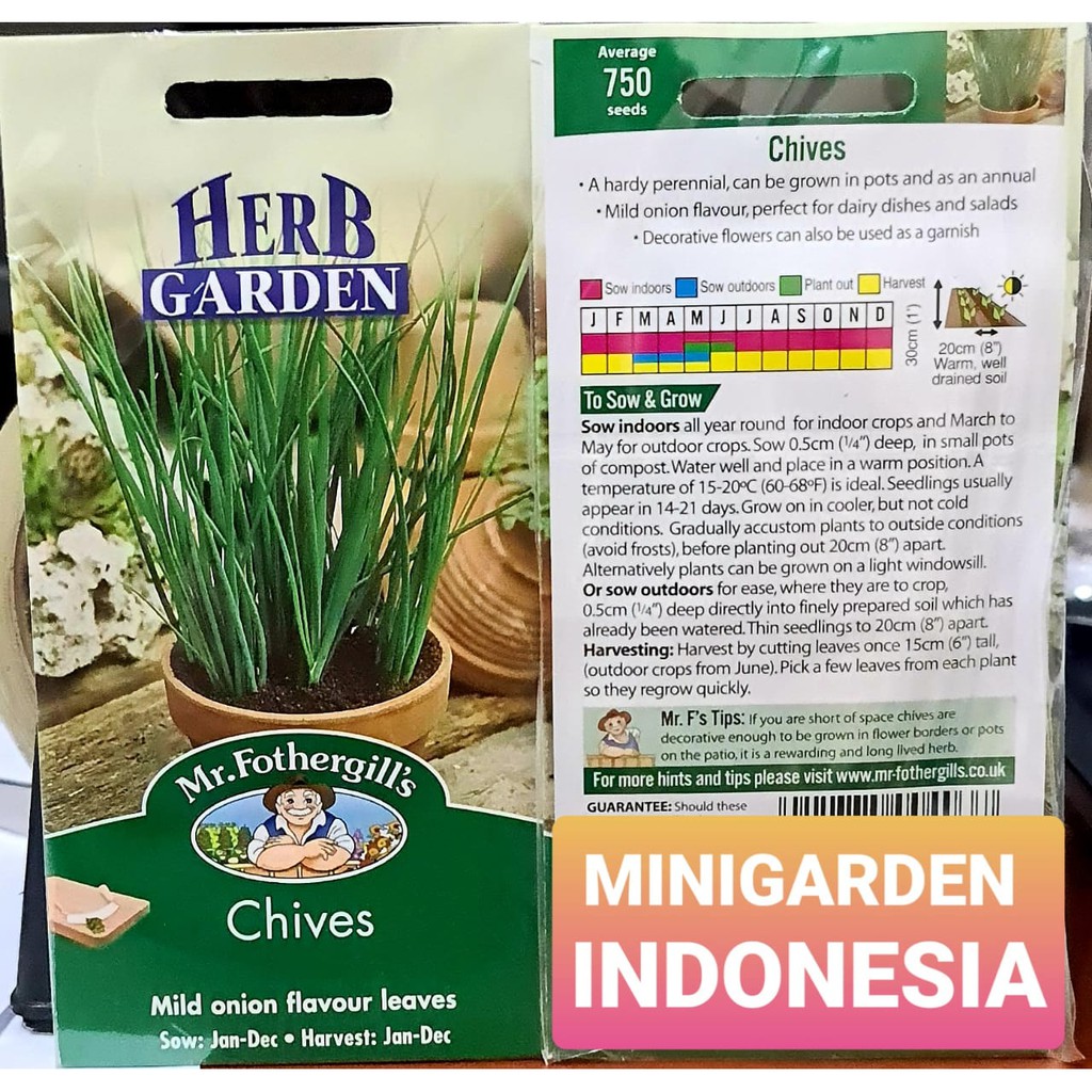 benih herbal CHIVES PACK 750 BIJI F1 Mr. Fothergills Bibit tanaman obat / herb / Sayuran daun bawang kucai